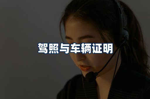 车辆证明展示